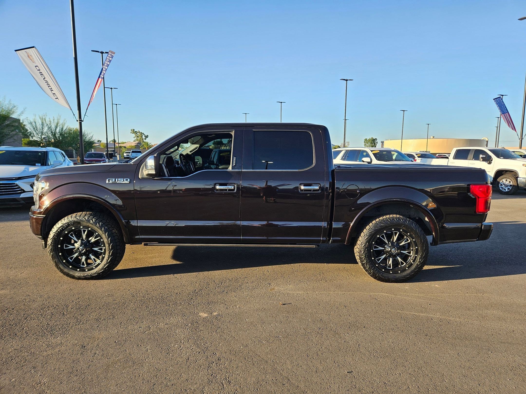 2019 Ford F-150 Platinum photo 2