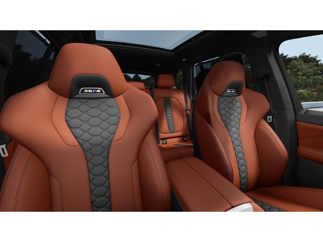 2026 Bmw X5 photo 9