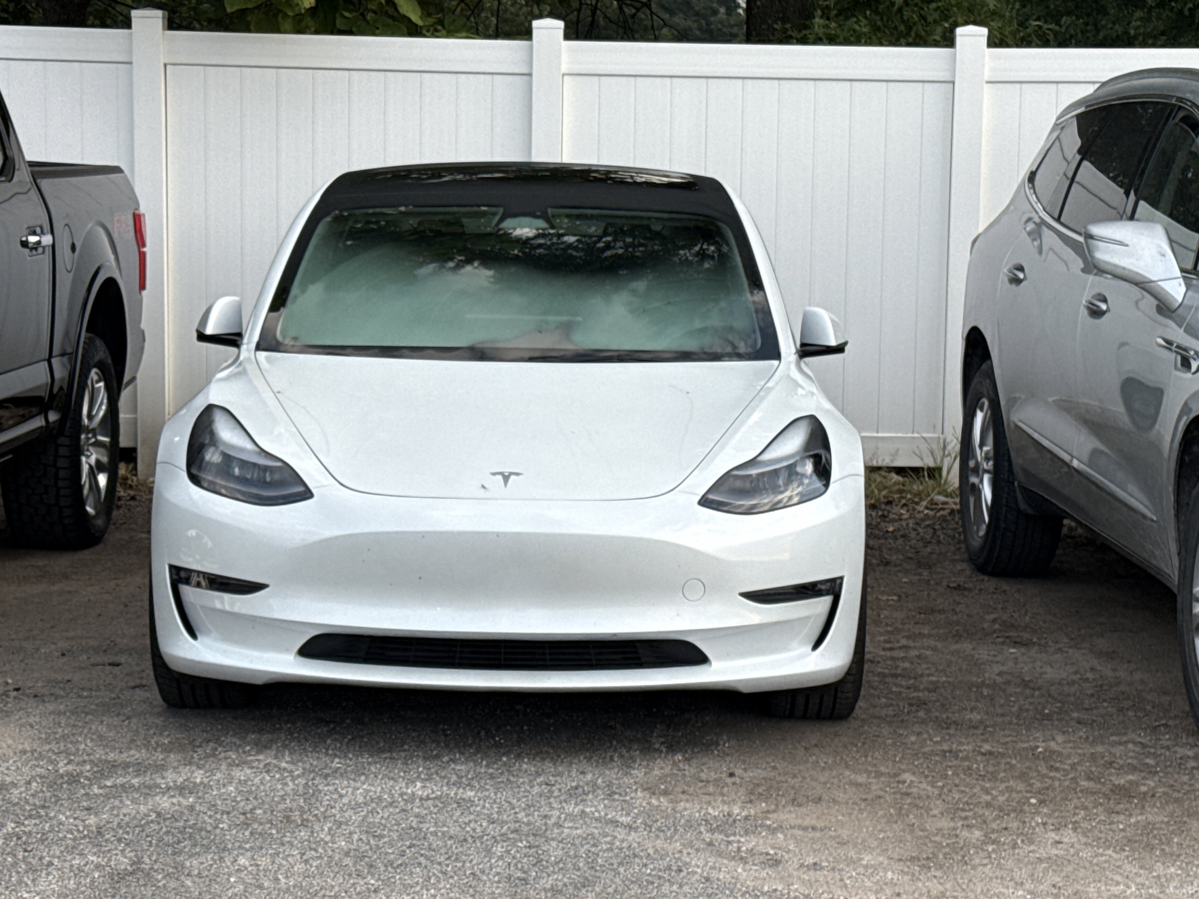 2023 Tesla Model 3 Performance photo 2