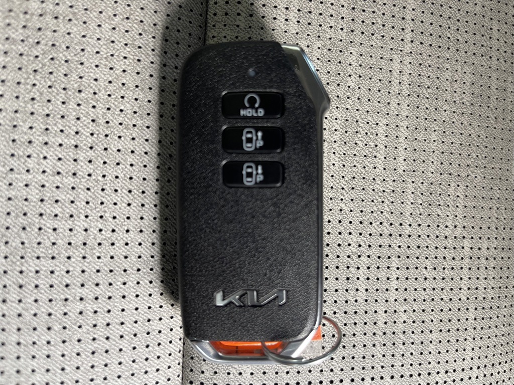 2023 Kia Niro EV Wave photo 18