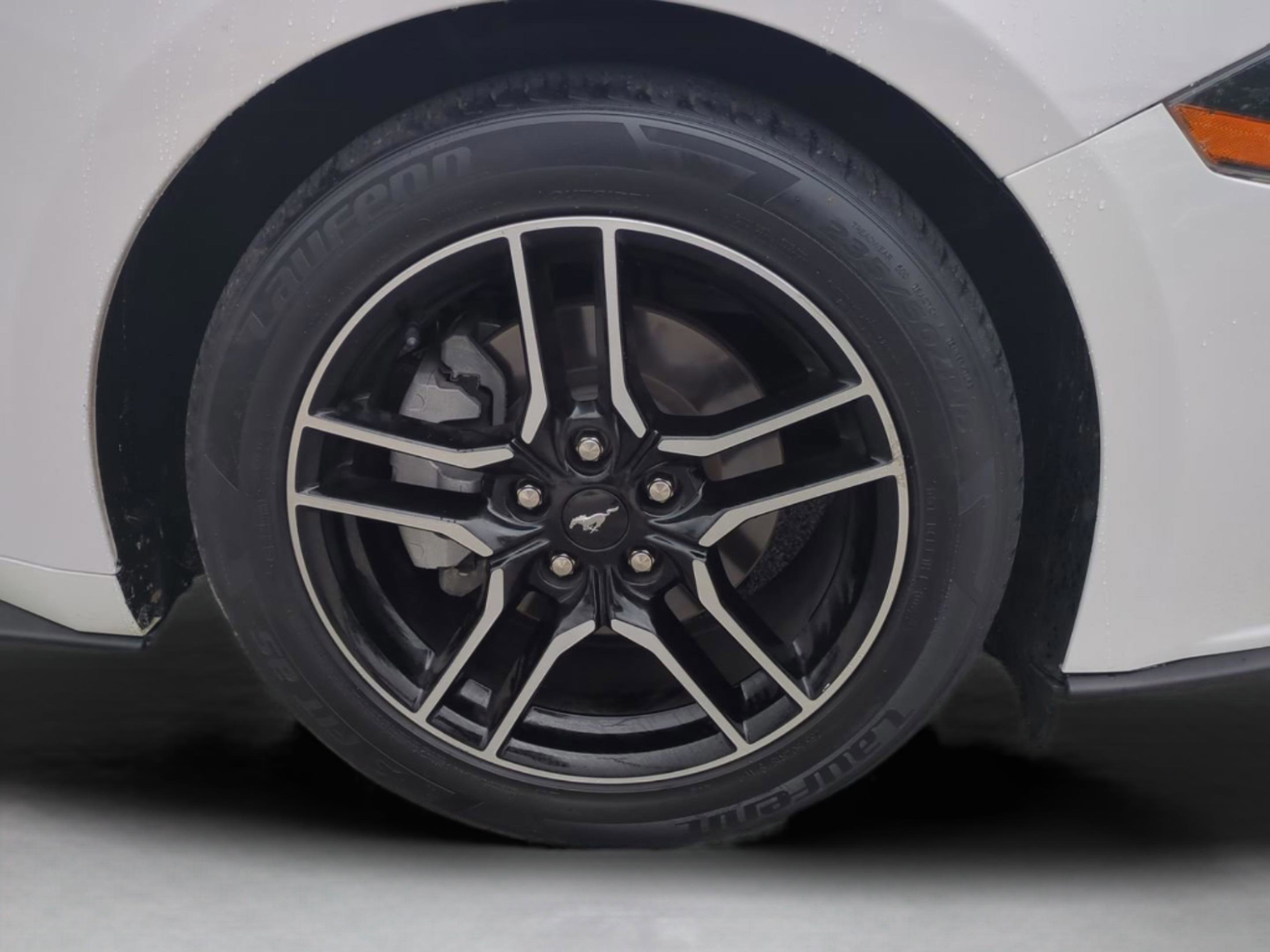 2022 Ford Mustang EcoBoost Premium photo 10