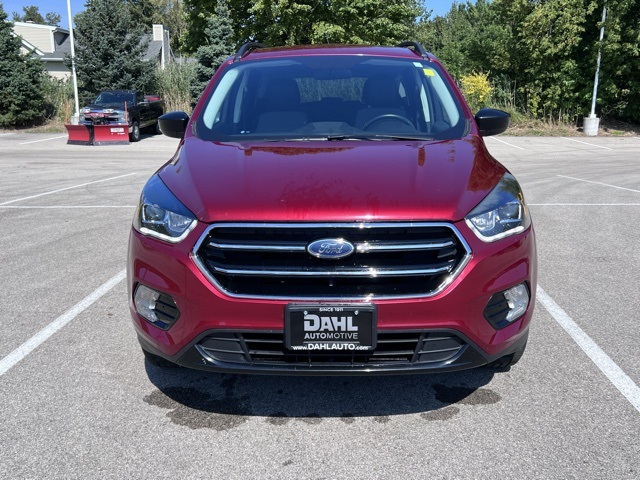 2019 Ford Escape SE photo 2