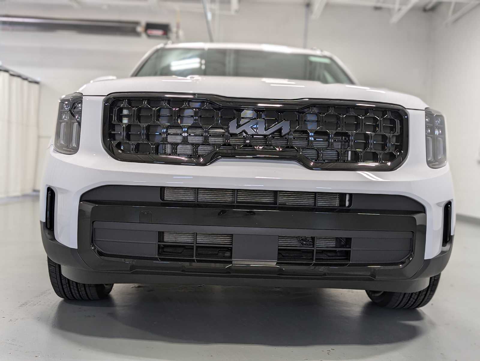 2025 Kia Telluride EX X-Line photo 2