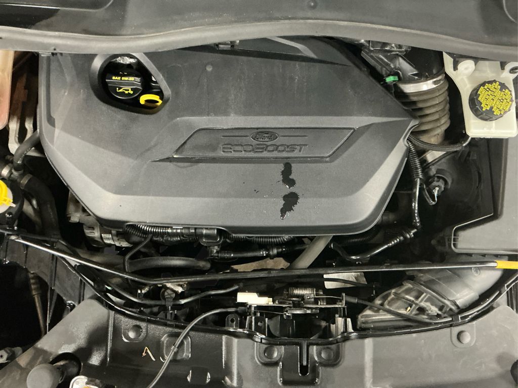 2015 Ford Escape SE photo 12