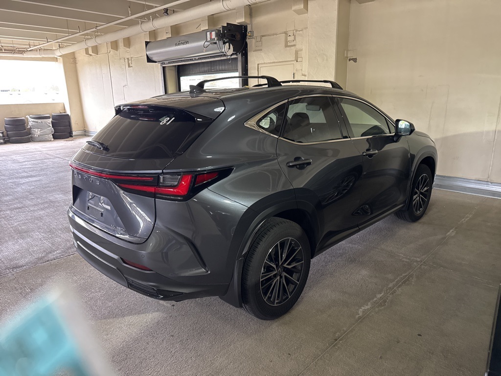 2025 Lexus NX 350h Premium photo 4