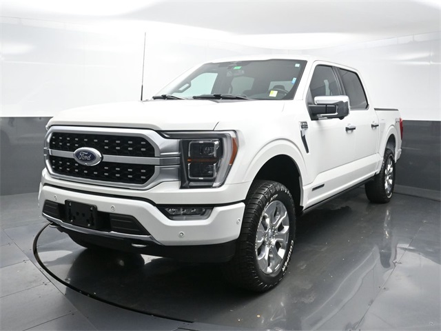 2023 Ford F-150 Platinum's photo