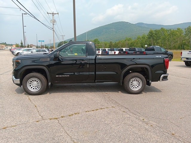 2025 Gmc Sierra 1500 Pro photo 4