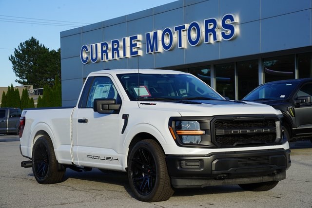 2025 FORD F-150 - Image 23