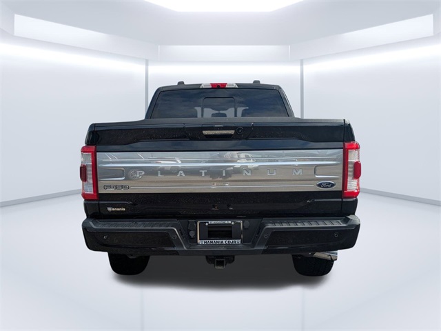 2021 Ford F-150 Platinum photo 4