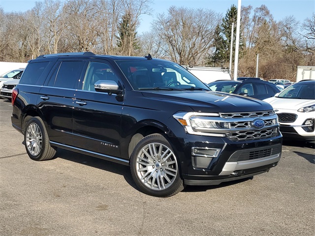 Used 2024 Black Ford Platinum image 1