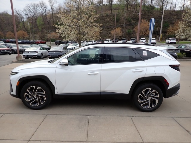 2025 Hyundai Tucson Hybrid Limited photo 6
