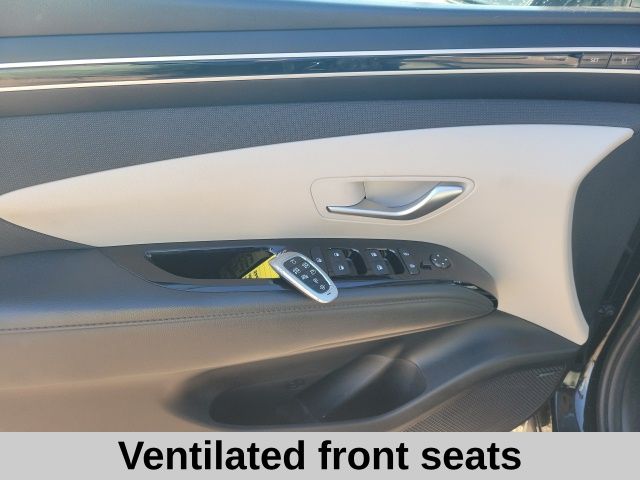2024 Hyundai Tucson Limited photo 13