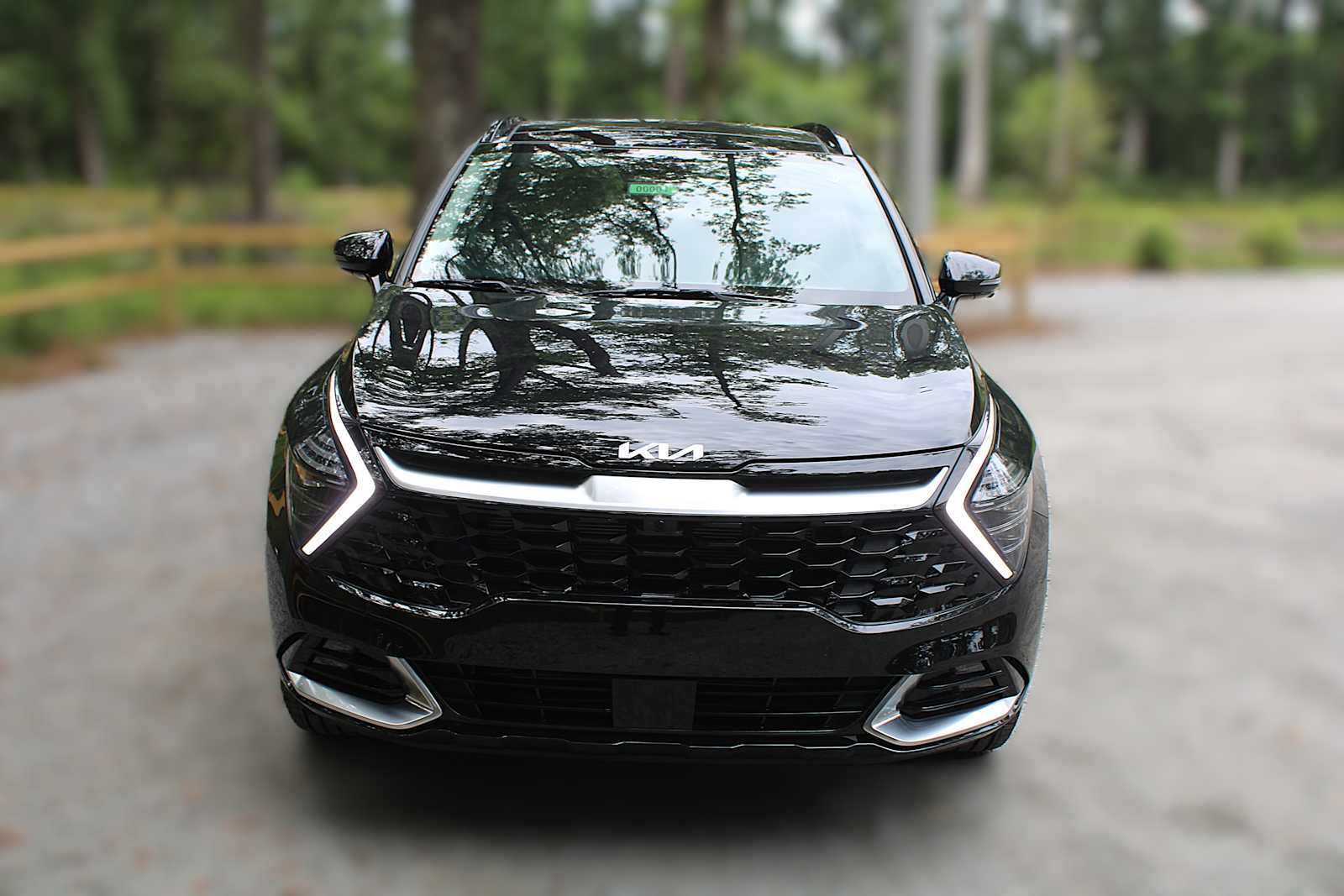 2025 Kia Sportage SX Prestige photo 14