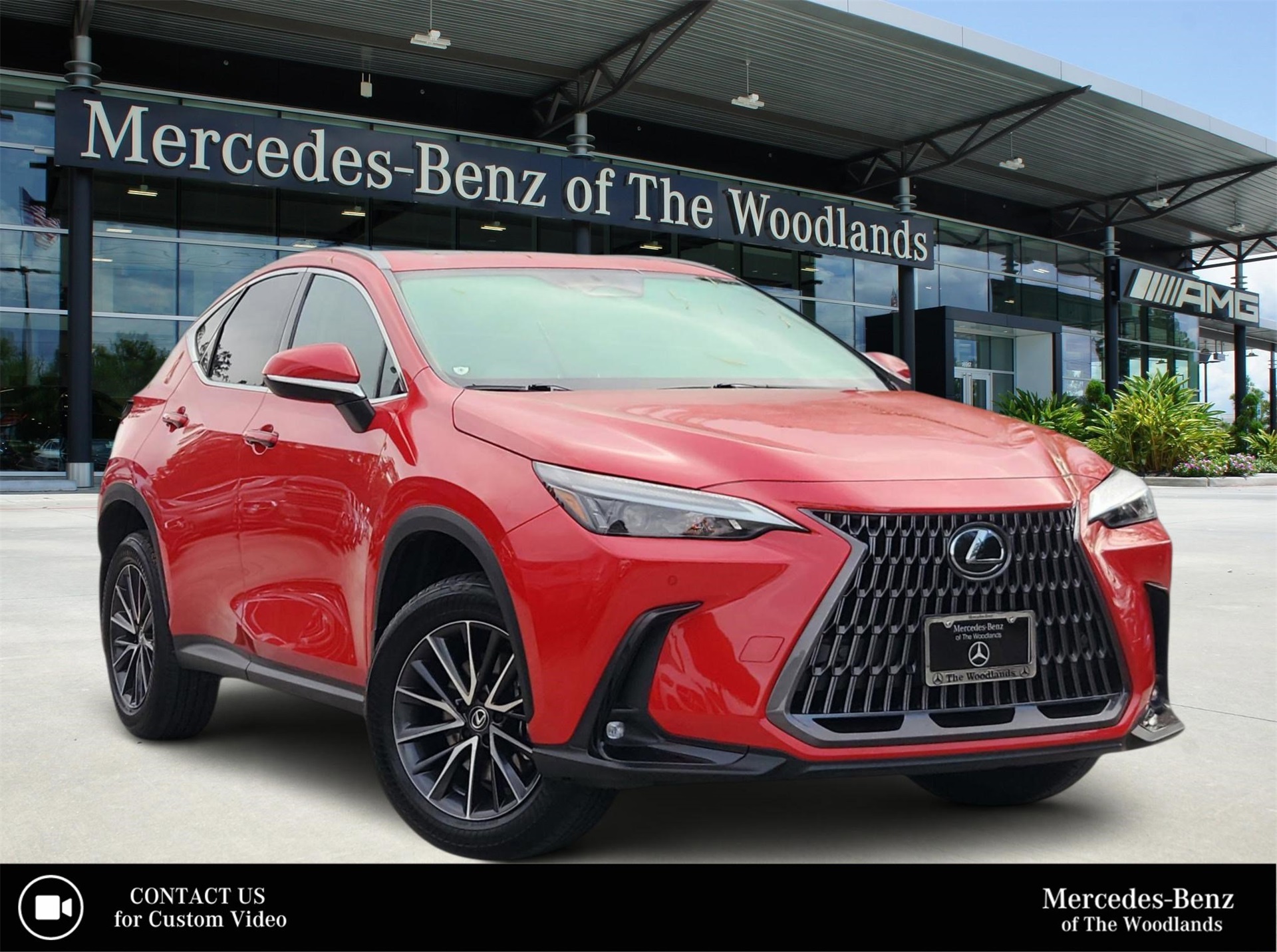 2024 Lexus NX 250's photo