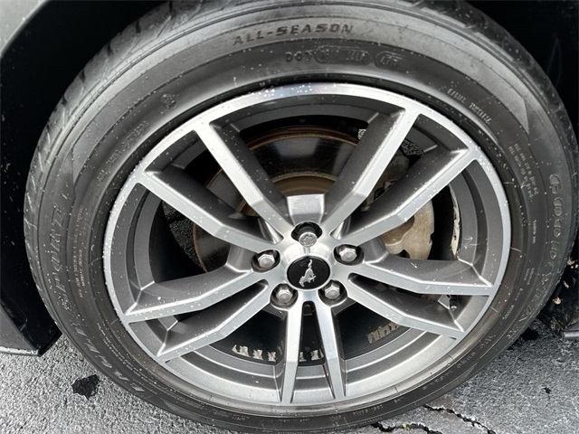 2015 Ford Mustang EcoBoost Premium photo 3