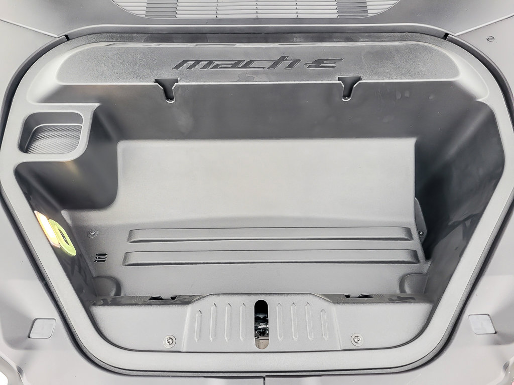 2025 FORD MUSTANG MACH-E - Image 19