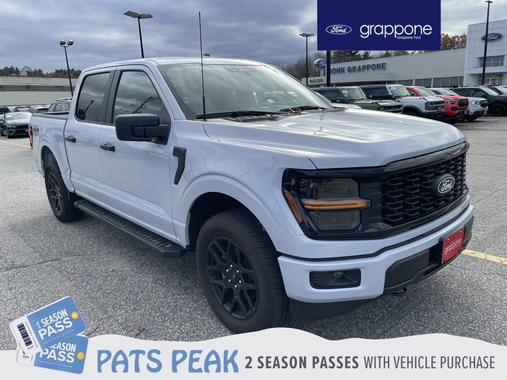 2025 Ford F-150 STX's photo
