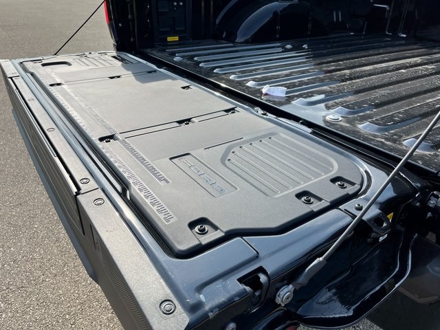 2025 Ford F-150 Lightning Platinum photo 16