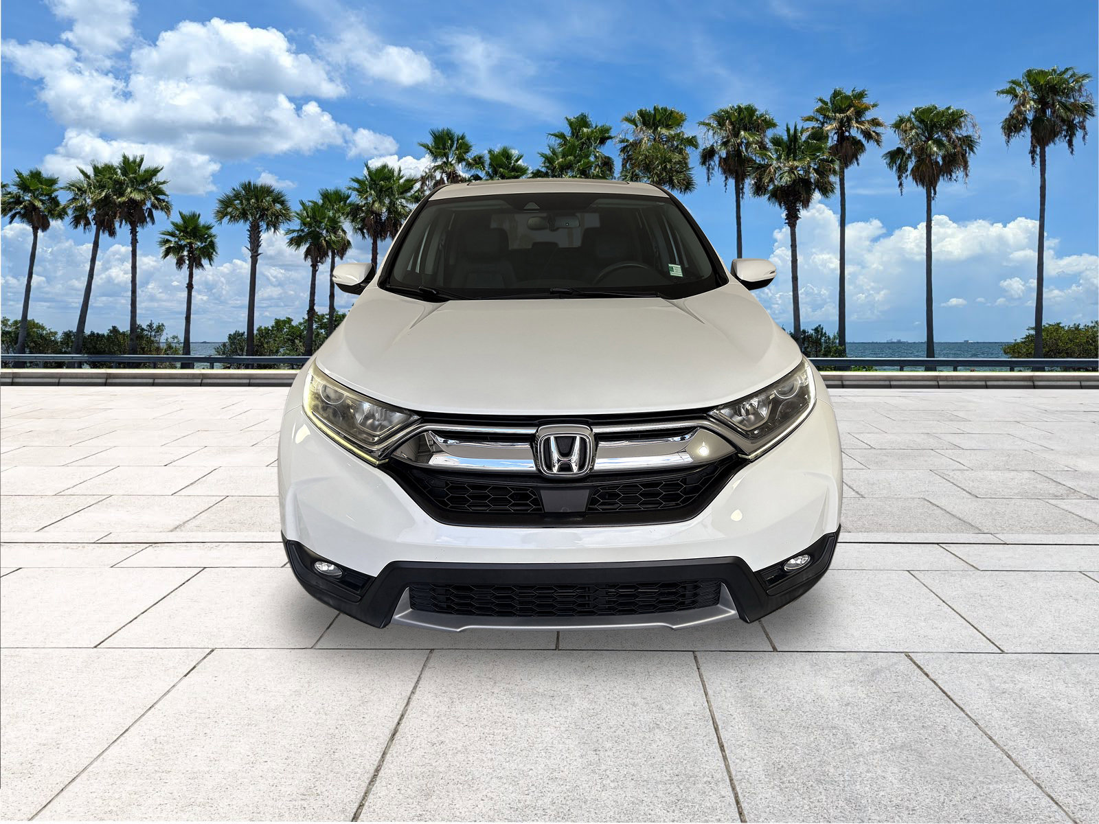 2019 Honda CR-V EX-L photo 3