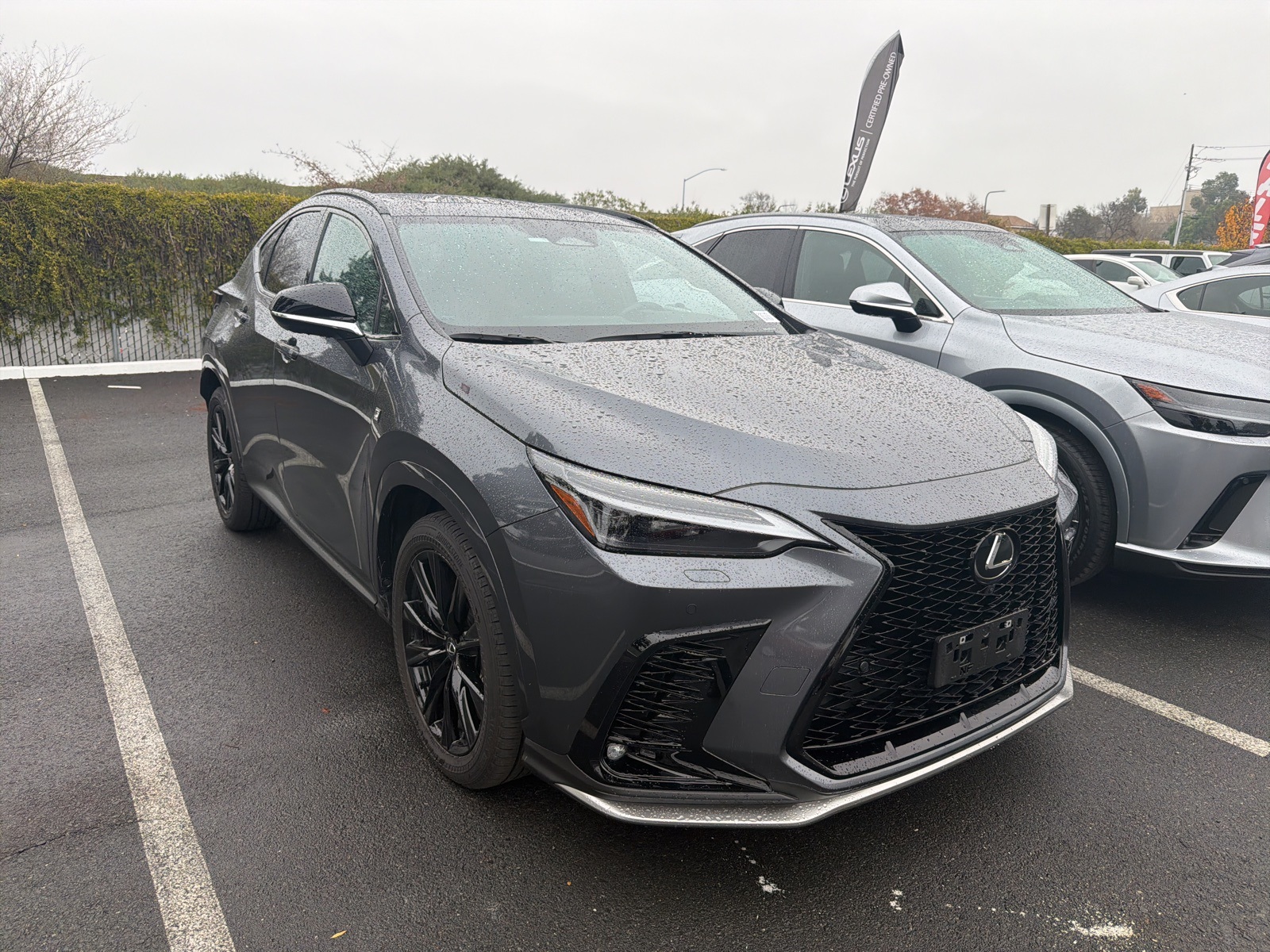 2024 Lexus NX PHEV 450h+'s photo