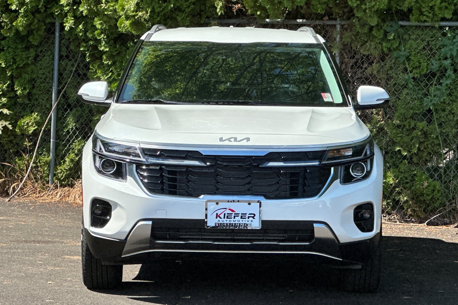 2025 Kia Seltos S X-Line photo 5