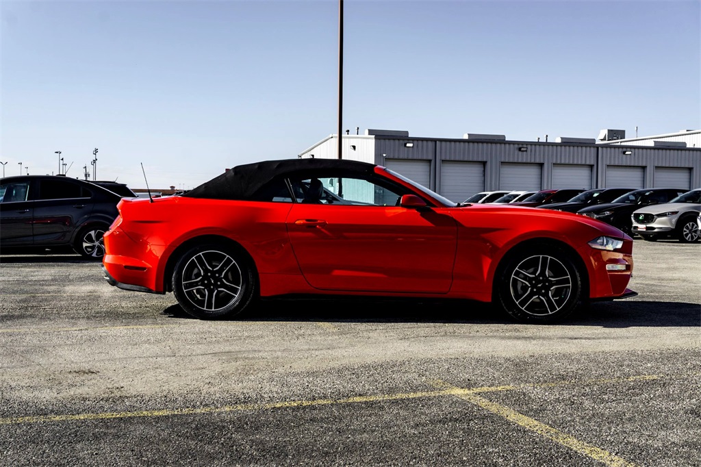 2023 Ford Mustang EcoBoost Premium photo 4