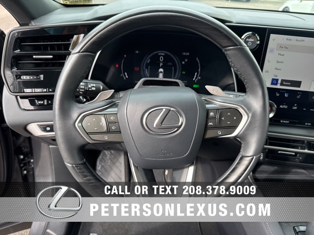 2024 Lexus RX 350h Premium photo 23