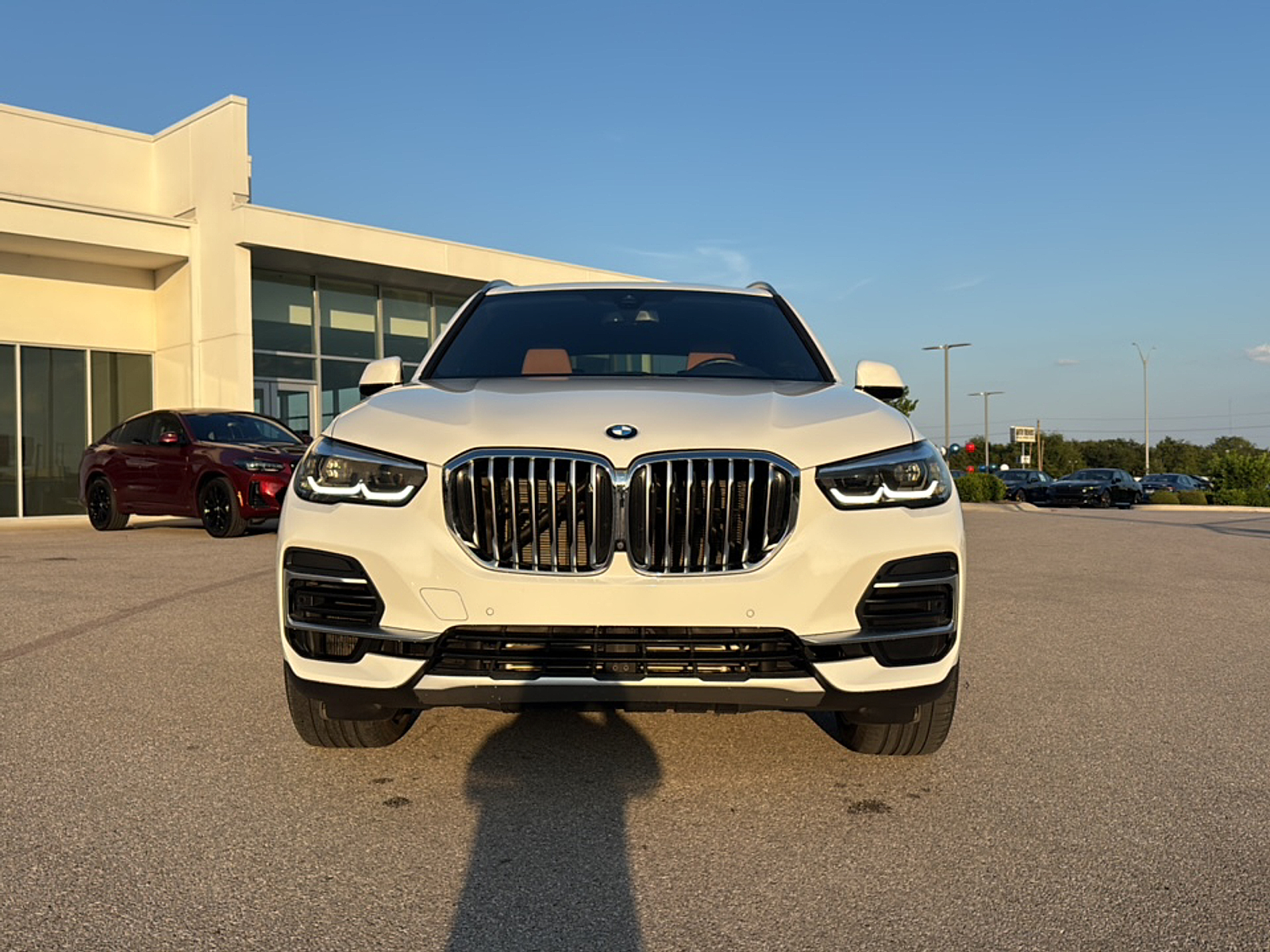 2022 Bmw X5 sDrive40i photo 2
