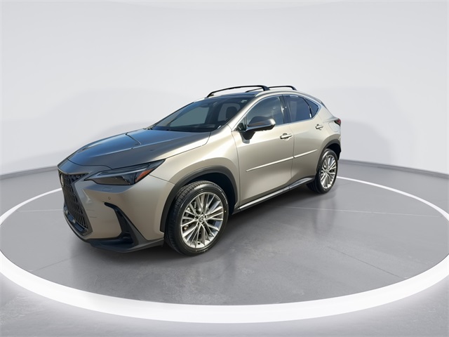 2024 Lexus NX 350h Luxury photo 4