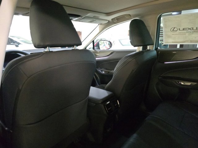 2025 Lexus NX 350h Luxury AWD photo 18
