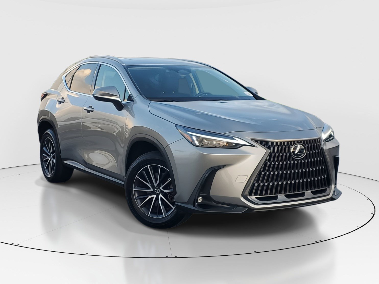 2024 Lexus NX 250's photo
