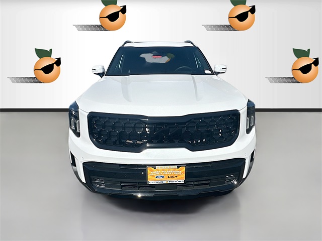 2025 Kia Telluride SX X-Line photo 2