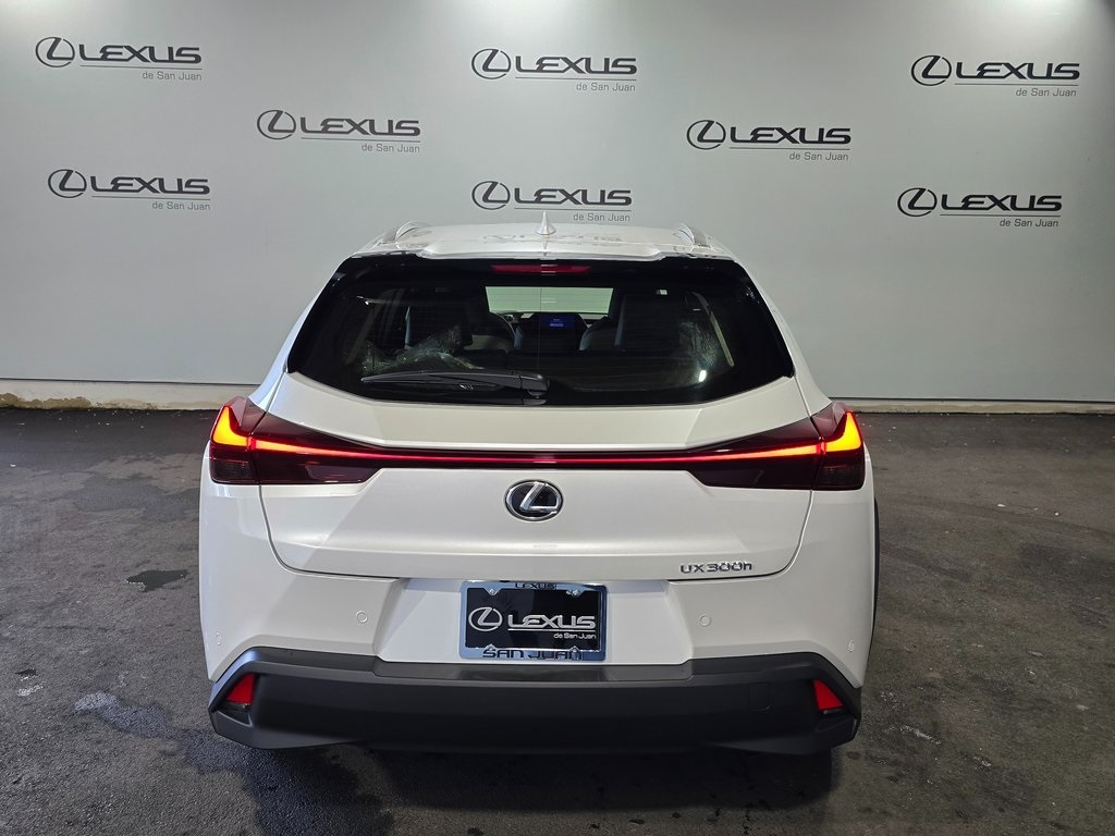 2025 Lexus UX photo 8