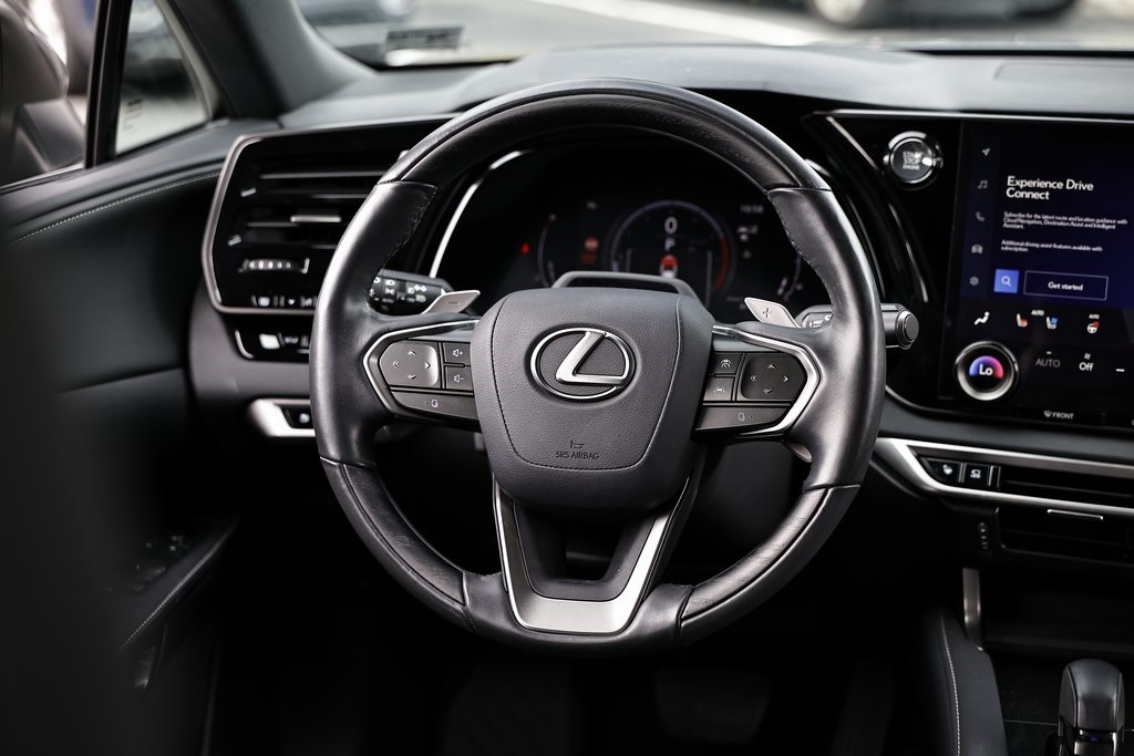 2024 Lexus RX 350 Premium photo 28