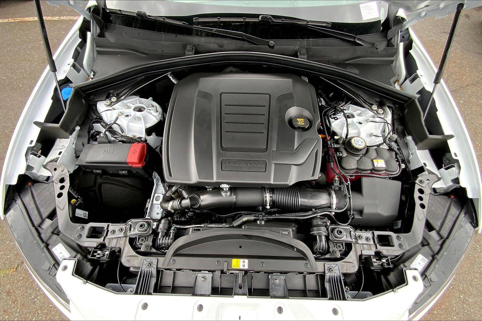 2026 Jaguar F-PACE P250 R-Dynamic S photo 11