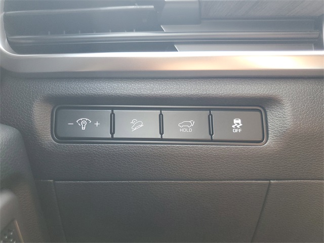 2025 Kia Telluride X-Line EX X-Pro photo 30