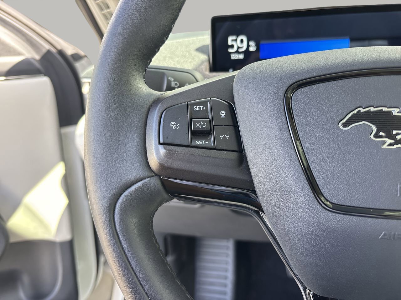 2021 Ford Mustang Mach-E Premium photo 23
