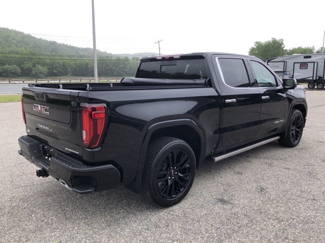 2024 Gmc Sierra 1500 Denali photo 3