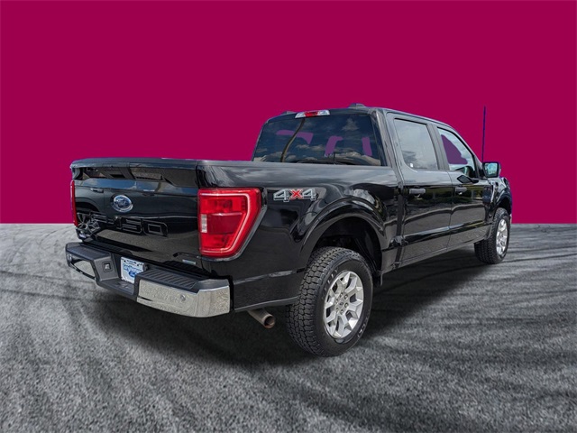 2023 Ford F-150 XLT photo 4