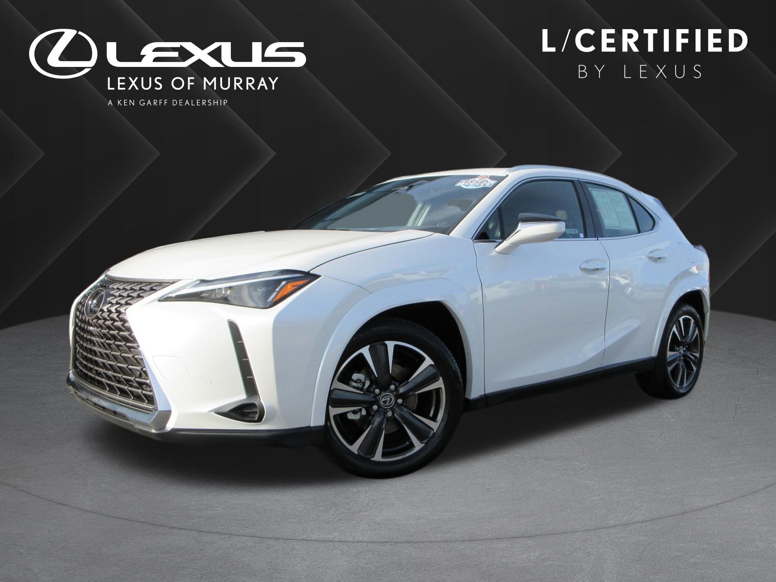 2025 Lexus UX Hybrid 300h Premium's photo