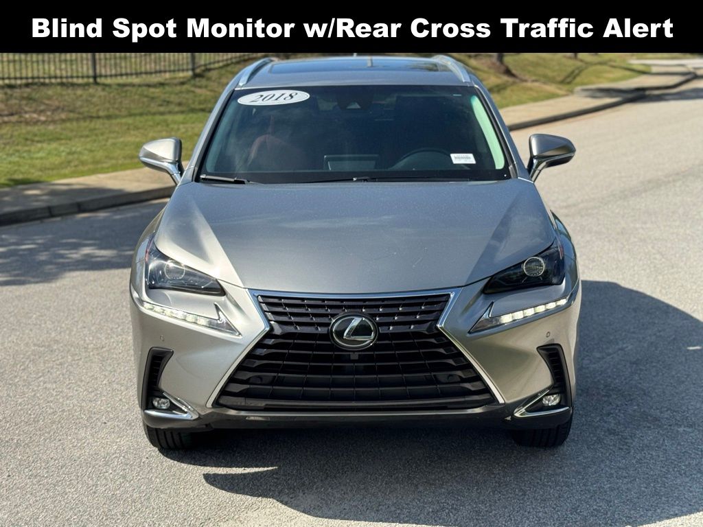 2018 Lexus NX 300 F SPORT photo 5