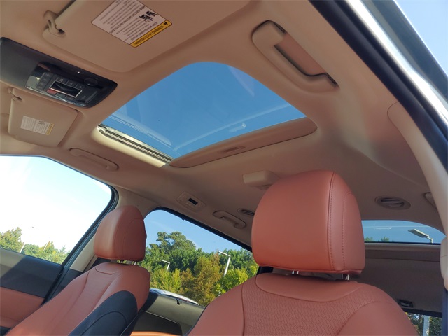 2026 Kia Carnival SX Prestige photo 14