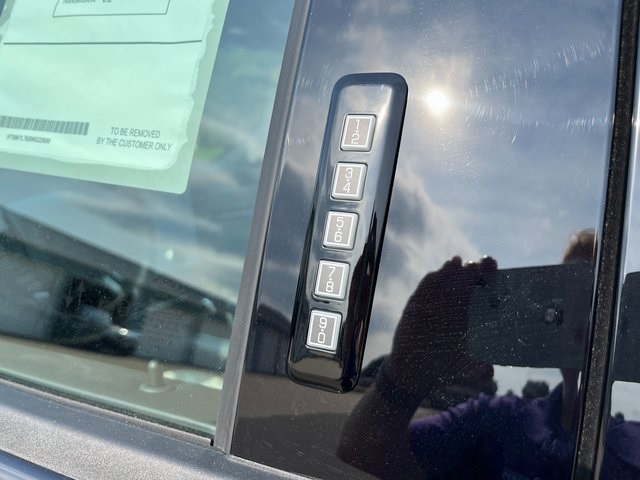 2025 Ford F-150 Lightning Platinum photo 4