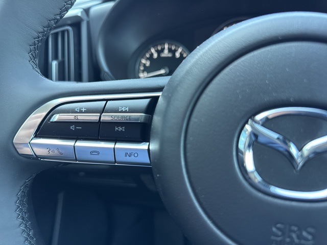 2025 Mazda CX-50 2.5 S Premium photo 20