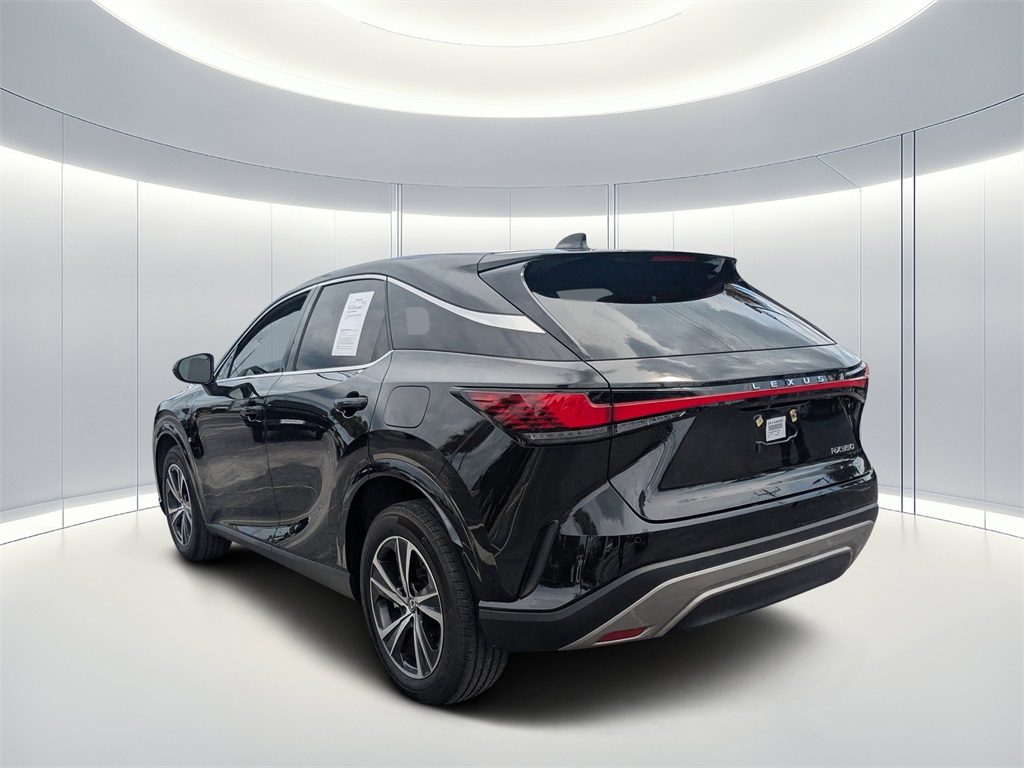 2024 Lexus RX 350 photo 5