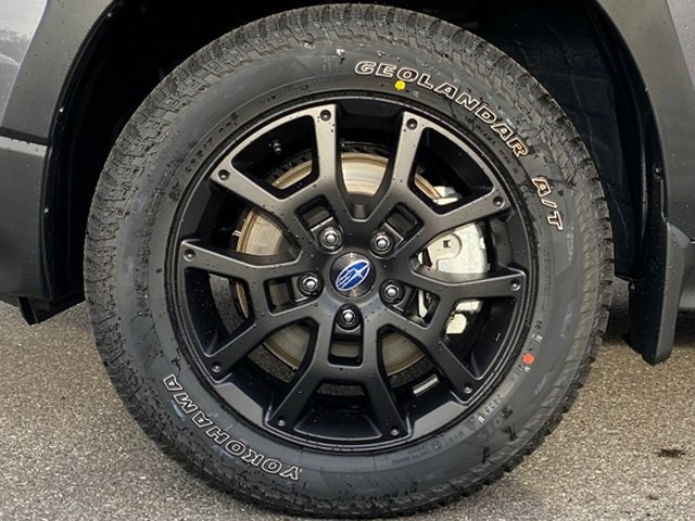 2025 Subaru Crosstrek Wilderness photo 5