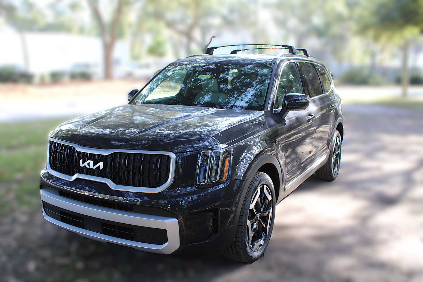 2025 Kia Telluride EX photo 14