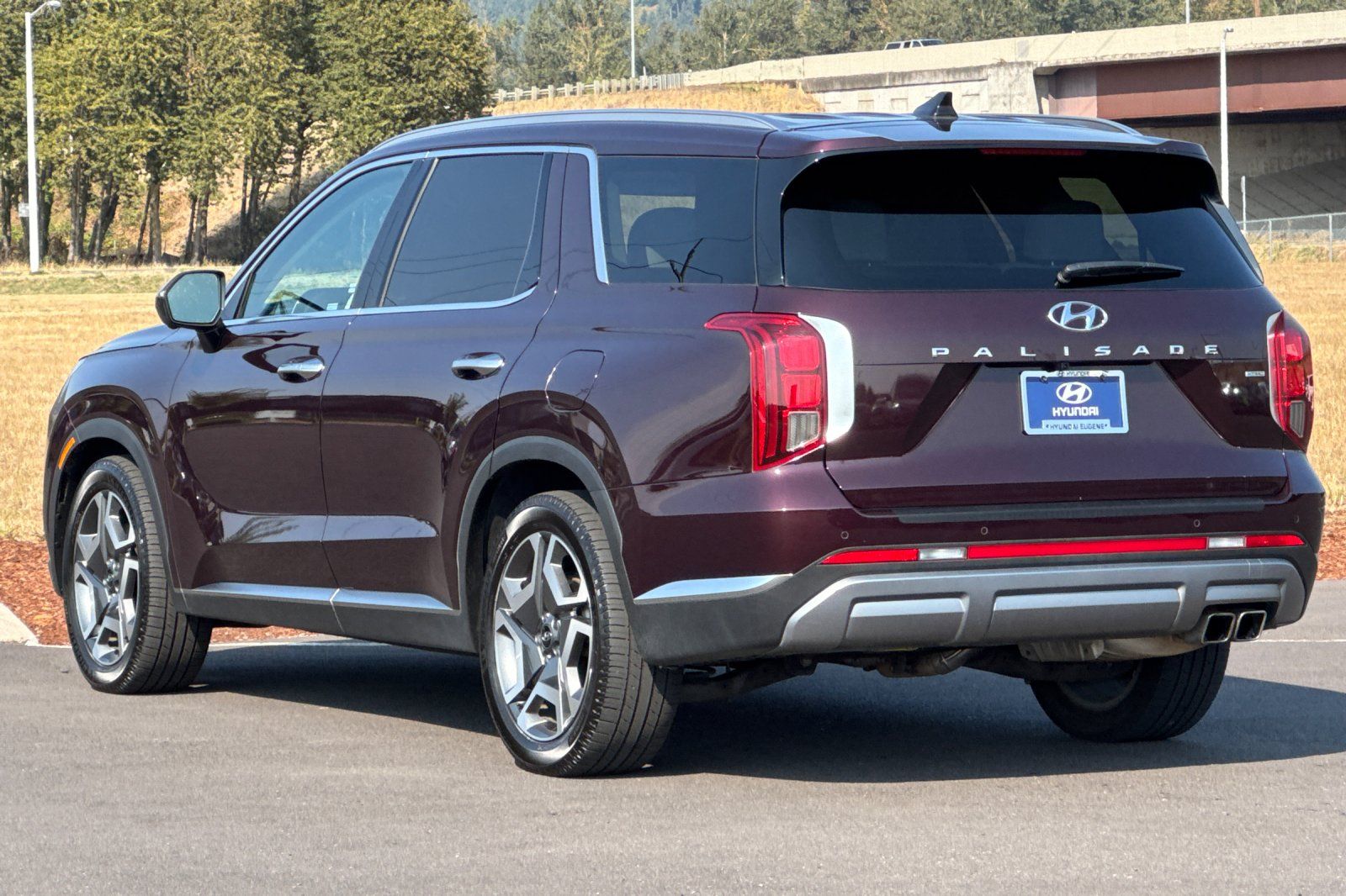 2023 Hyundai Palisade Limited photo 5