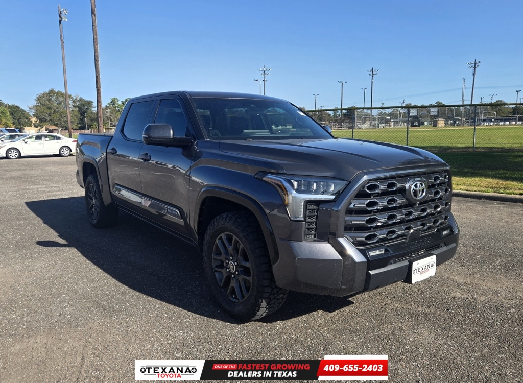 2022 Toyota Tundra Platinum's photo
