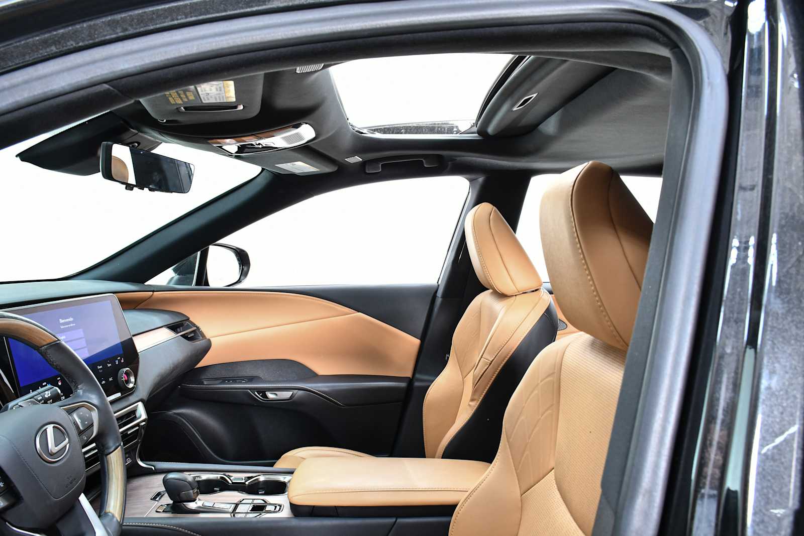 2023 Lexus RX 350 Premium photo 10
